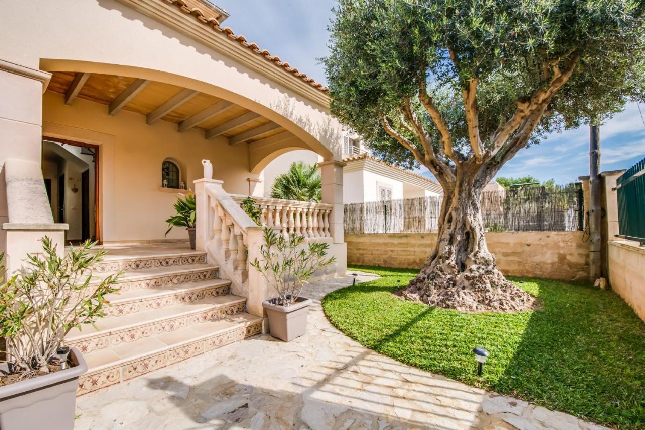 Ideal Property Mallorca - Didi Alcudia  Exterior foto